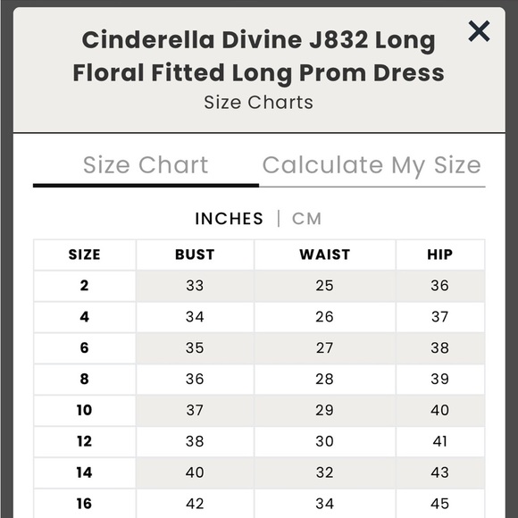 NEW! CINDERELLA DIVINE La Divine Floral
Corset Bodice Evening Gown Blue SZ 8 NWT - Picture 13 of 14